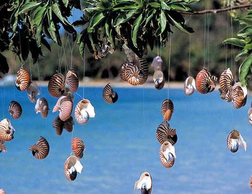 Boulouparis Boulouparis | Nieuw Caledonie