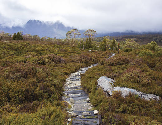 Cradle Mountain National Park Cradle Mountain National Park | rondreis Tasmanië