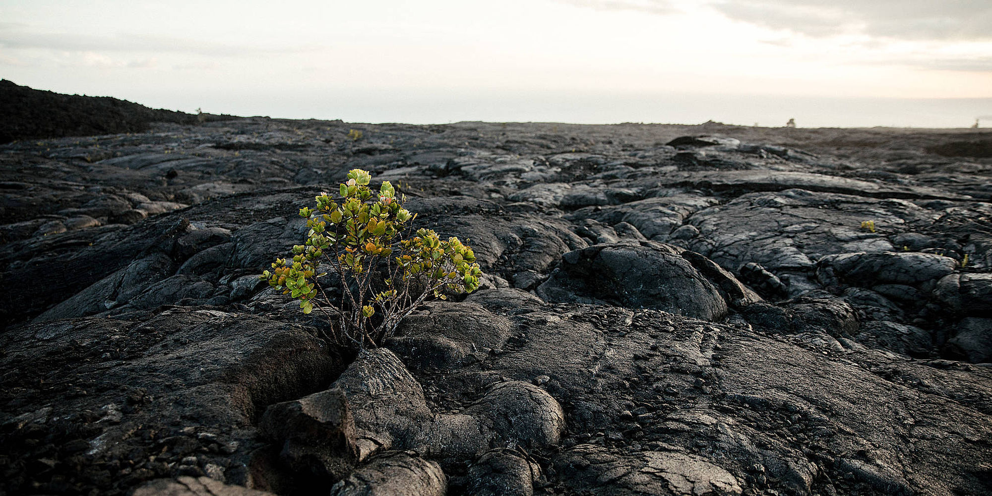Hawaii Vulcanoes National Park | vakantie Hawaii
