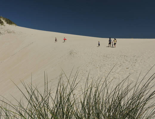 Zeehan Zeehan | rondreis Tasmanië