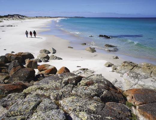 Mt William National Park Mount William National Park | rondreis Tasmanië