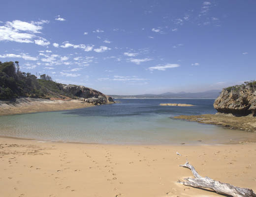 Flinders Island Beach Furneaux Group Flinders Island Beach | rondreis Tasmanië