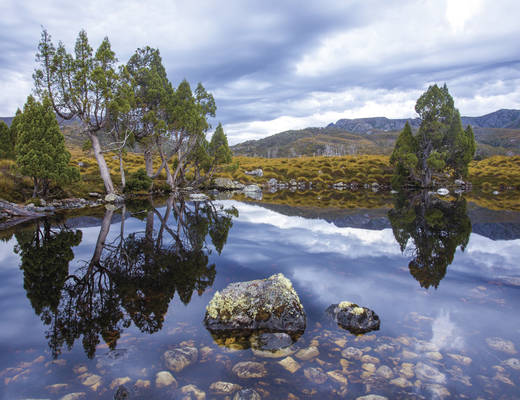 Cradle Mountain Cradle Mountain | rondreis Tasmanië