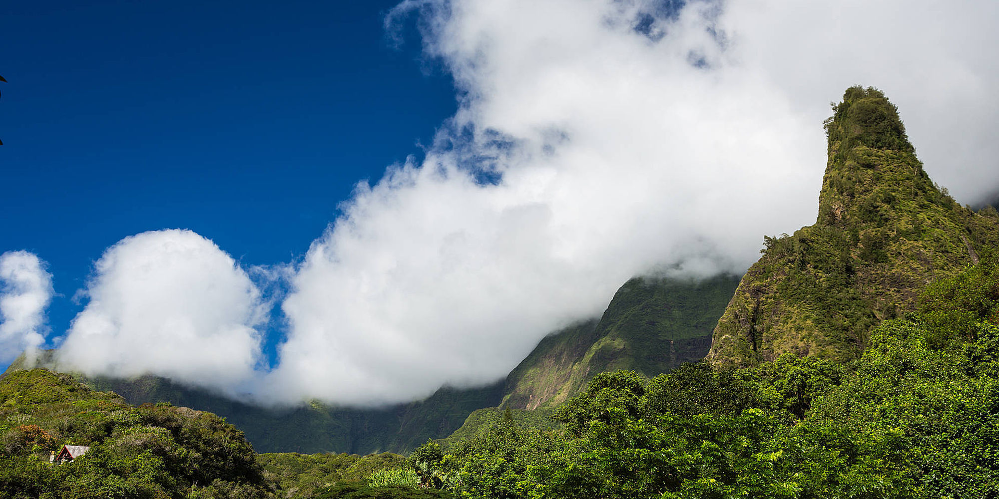 Iao Valley State Park | vakantie Hawaii