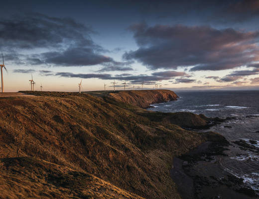 De kustlijn van Woolnorth Woolnorth kust | rondreis Tasmanië