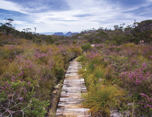 Great Walks of Australia in Freycinet National Park Freycinet National Park | rondreis Tasmanië