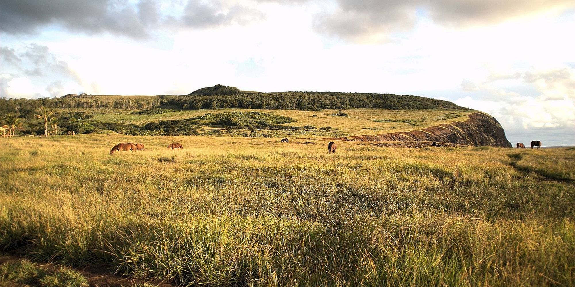 Ana Kai Tangata | vakantie paaseiland