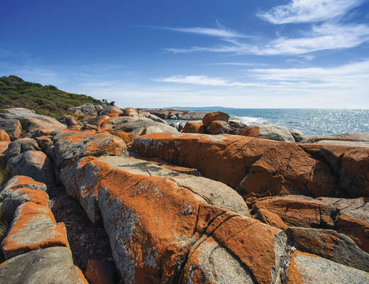 Bridport Bridport | rondreis Tasmanië