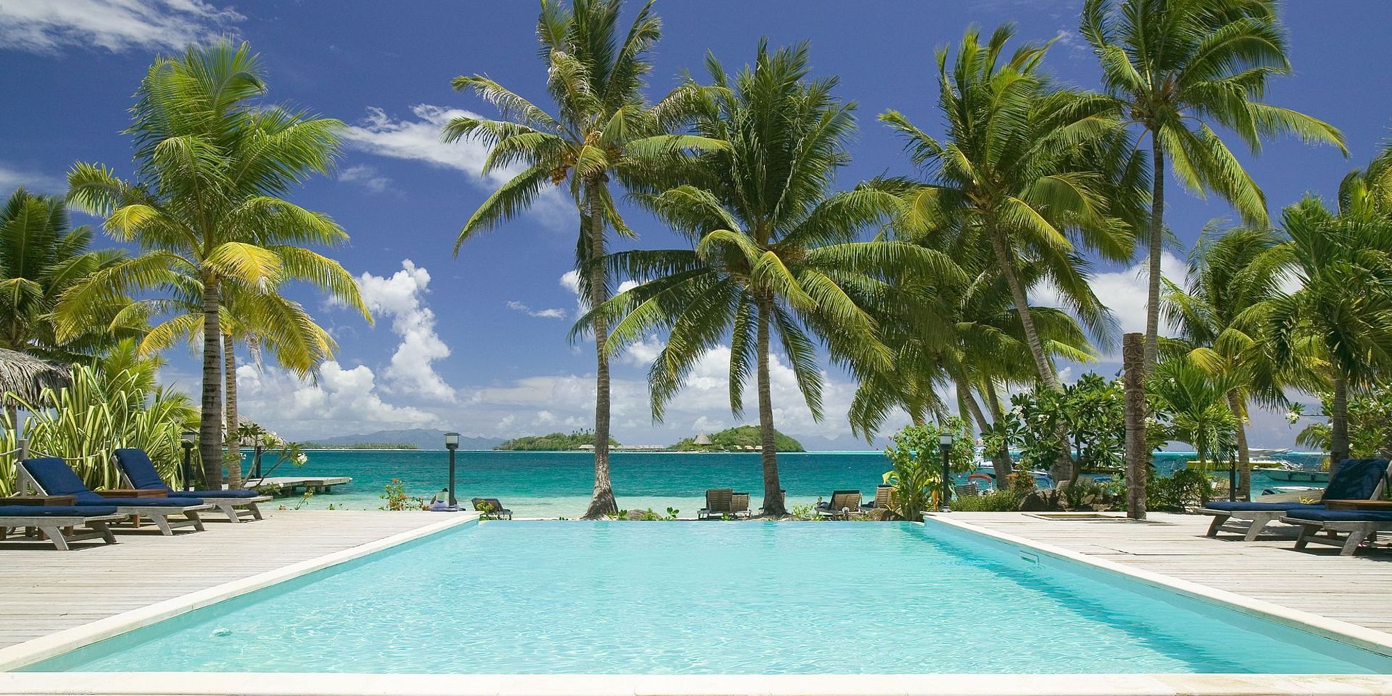 Zwembad met palmbomen | Bora Bora vakantie