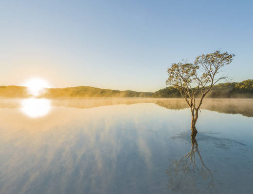 Cairns Brisbane Selfdrive Fraser Island | selfdrive Australië
