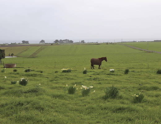 Het platteland van Deloraine Deloraine platteland | rondreis Tasmanië