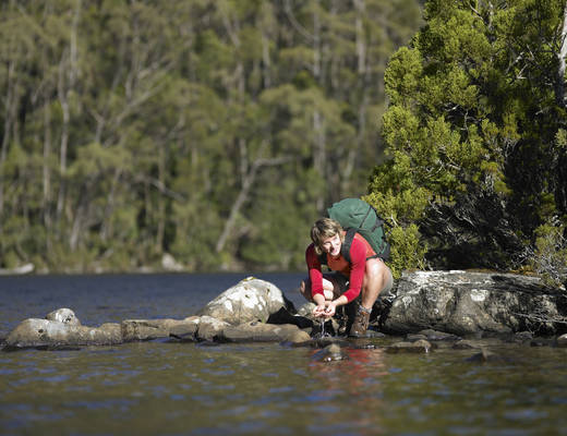 Mount Field National Park Mount Field National Park | rondreis Tasmanië