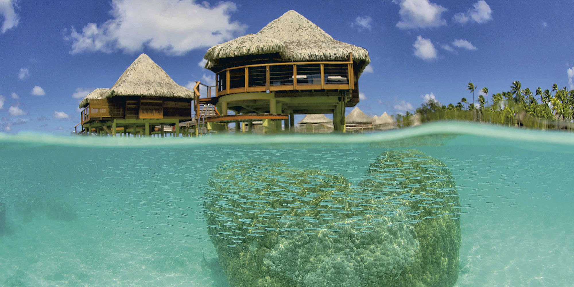 Rangiroa ©tim-mckenna.com