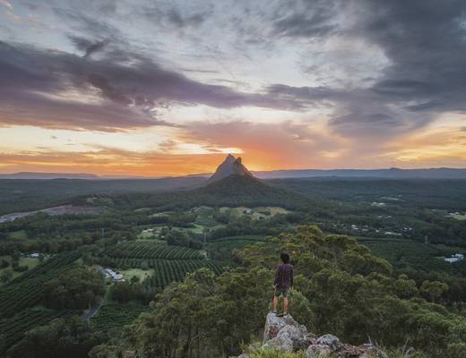 Mary Cairncross Lookout | Glasshouse Mountains | rondreis Australië