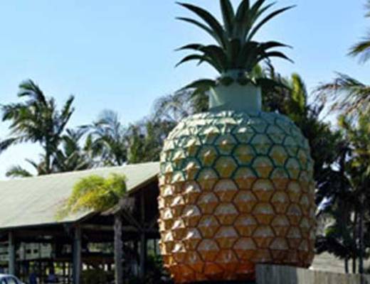 Nambour big pineapple | rondreis Australië