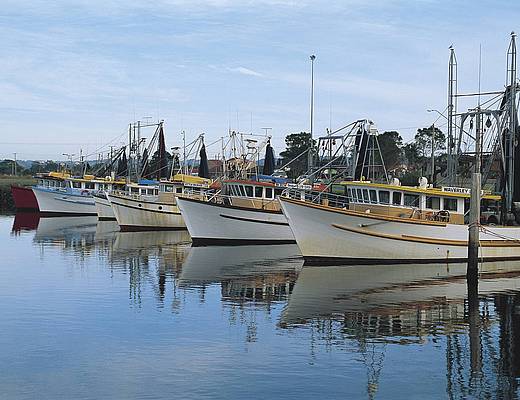 Vissershaven, Ballina Ballina vissershaven | rondreis Australië