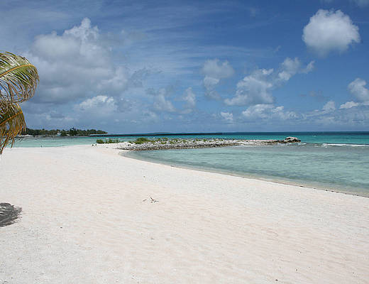 Tikehau Aito Motel Colete Beach | vakantie Frans Polynesië
