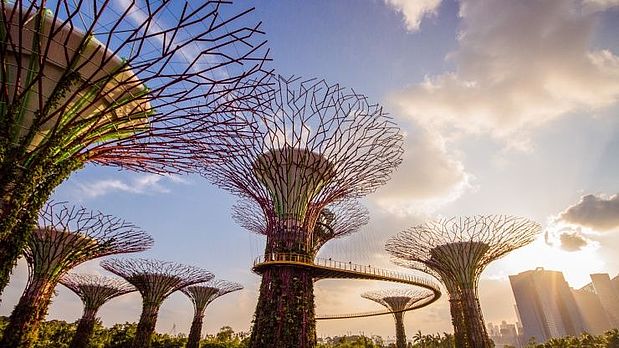 Garden by the Bay - Singapore Garden by the Bay - Singapore