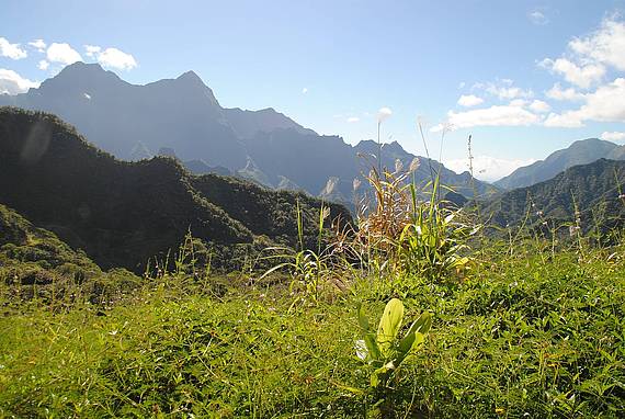 Tahiti binnenland Tahiti binnenland