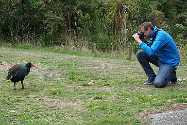 Mike in Zealandia Mike in Zealandia | rondreis Nieuw-Zeeland