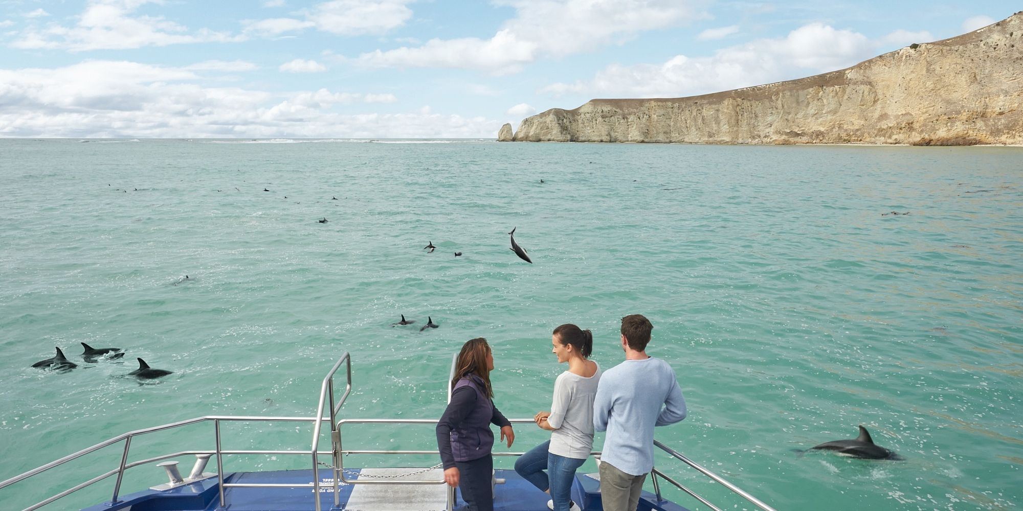 Kaikoura dolfijnen | rondreis Nieuw-Zeeland