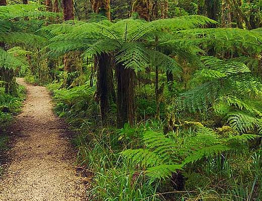 Kahurangi National Park | Rondreis Nieuw-Zeeland