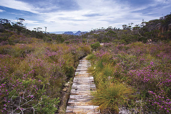 Great Walks of Australia, Freycinet Freycinet great walks of australia | vakantie australie