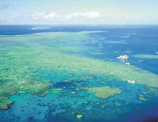 Great Barrier Reef | rondreis Australië 