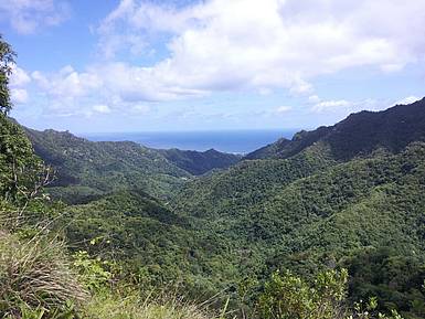 Cross Island Trekking, Rarotonga Rarotonga cross island trekking | cookeilanden