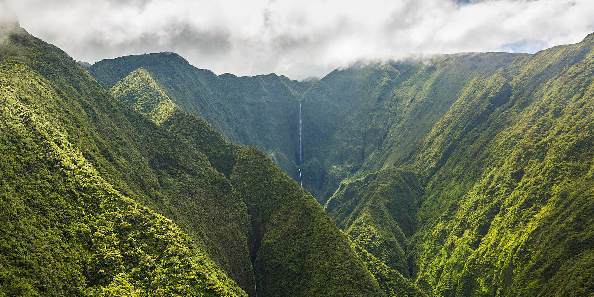 Maui groene vallei | vakantie hawaii