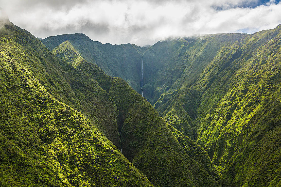 Valleien en watervallen op Maui Maui vallei en waterval | vakantie Hawaii