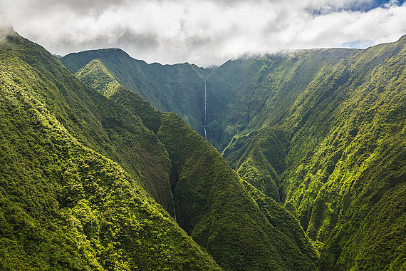 Valleien en watervallen op Maui Maui vallei en waterval | vakantie Hawaii