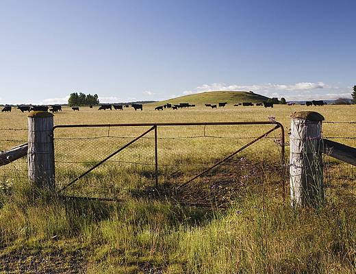 Platteland van Armidale Armidale platteland | rondreis New South Wales