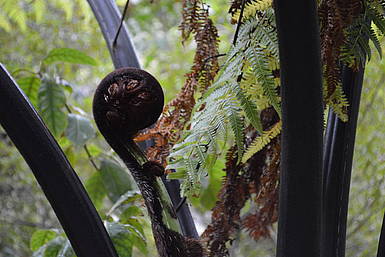 Zealandia Zealandia | rondreis Nieuw-Zeeland
