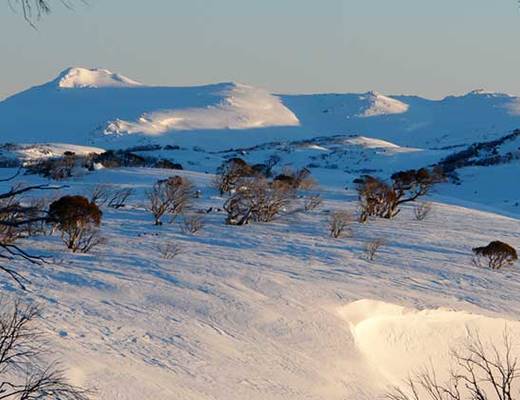 Snowy Mountains Snowy Mountains