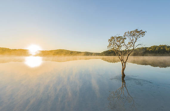 Lake McKenzie, Fraser Island Lake McKenzie | Fraser Island