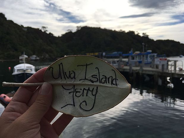 Ferry naar Stewart Island Ferry naar Stewart Island | rondreis Nieuw-Zeeland