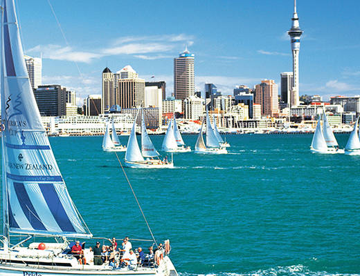 Dagexcursie in Auckland, ontdek de veelzijdigheid van de stad | excursie Nieuw-Zeeland